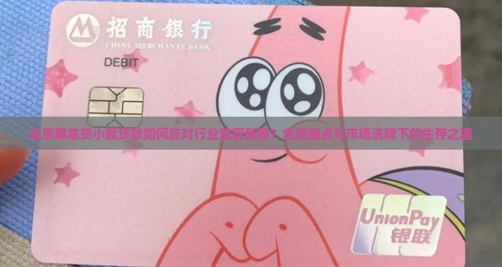 北京翼龙贷小额贷款如何应对行业监管新规？合规痛点与市场洗牌下的生存之道