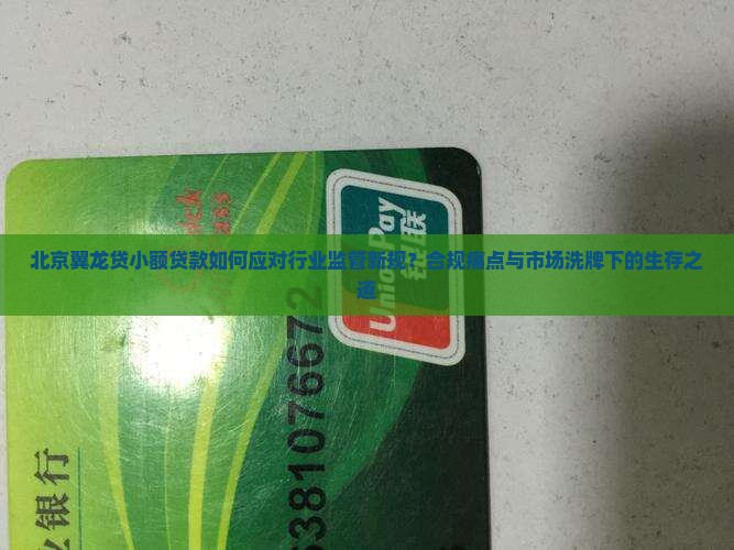 北京翼龙贷小额贷款如何应对行业监管新规？合规痛点与市场洗牌下的生存之道