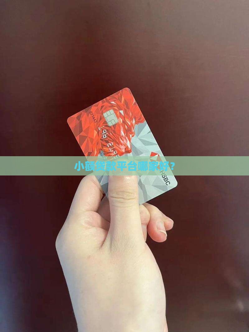 小额贷款平台哪家好？