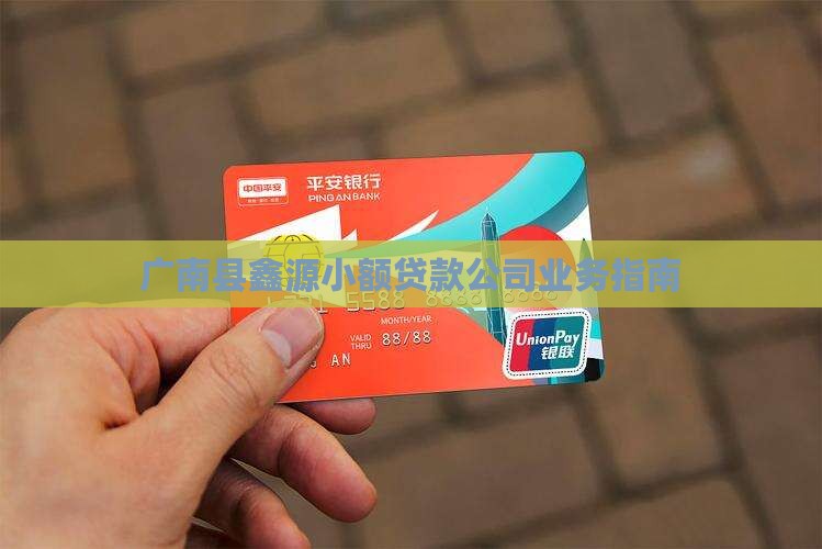广南县鑫源小额贷款公司业务指南