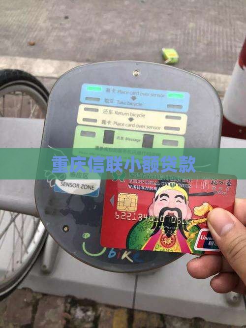 重庆信联小额贷款