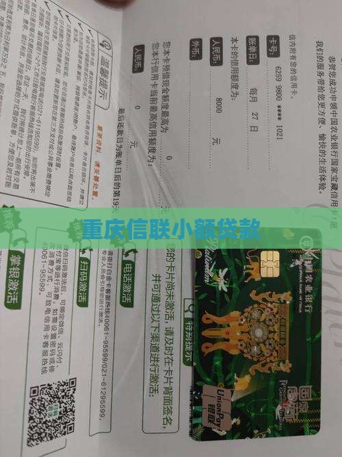 重庆信联小额贷款