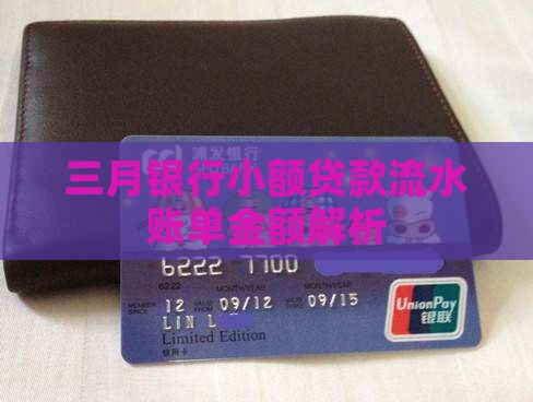 三月银行小额贷款流水账单金额解析
