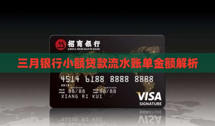 三月银行小额贷款流水账单金额解析