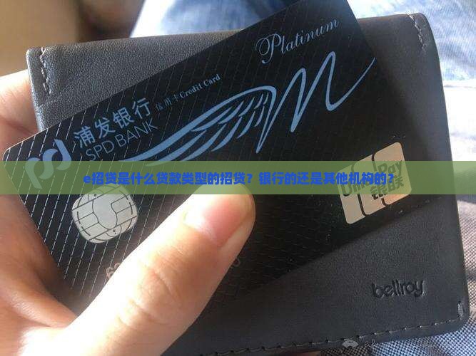 e招贷是什么贷款类型的招贷？银行的还是其他机构的？