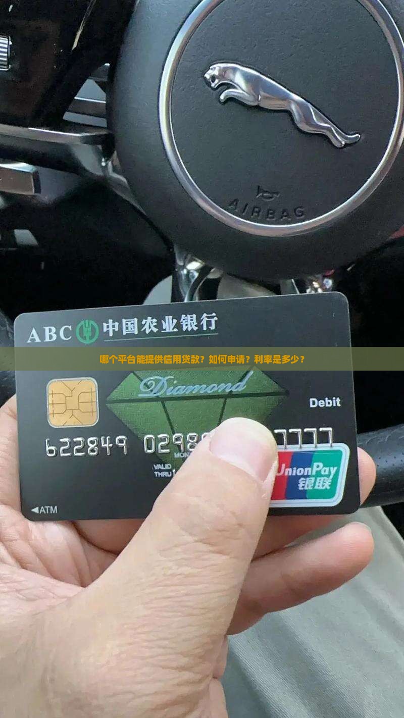 哪个平台能提供信用贷款？如何申请？利率是多少？