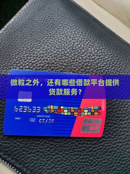 微粒之外，还有哪些借款平台提供贷款服务？