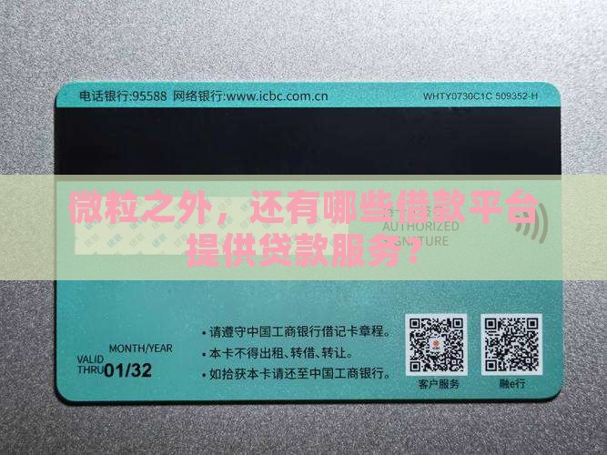 微粒之外，还有哪些借款平台提供贷款服务？