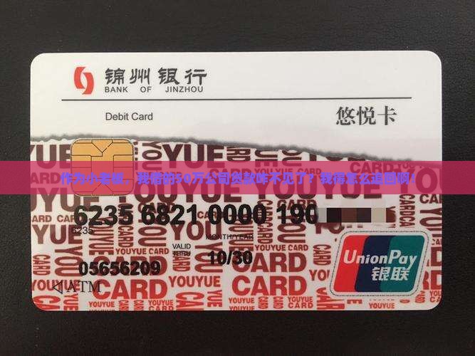 作为小老板，我借的50万公司贷款咋不见了？我得怎么追回啊！