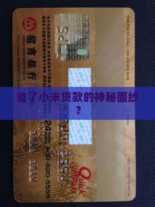 谁了小米贷款的神秘面纱？