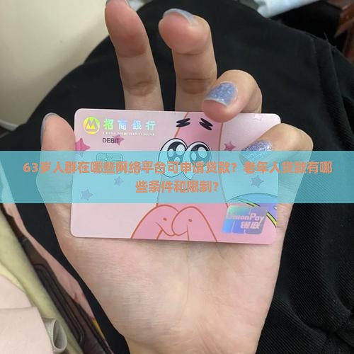 63岁人群在哪些网络平台可申请贷款？老年人贷款有哪些条件和限制？