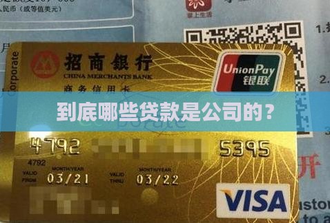 到底哪些贷款是公司的？