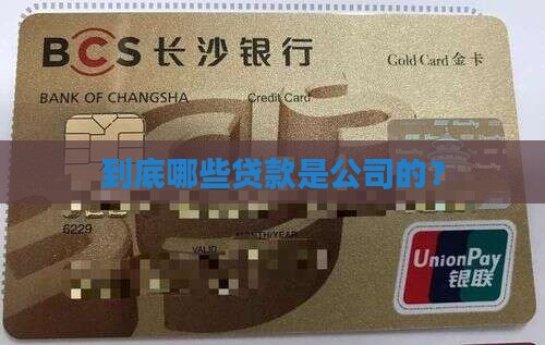到底哪些贷款是公司的？