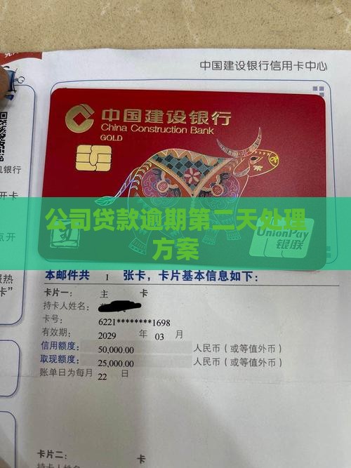公司贷款逾期第二天处理方案