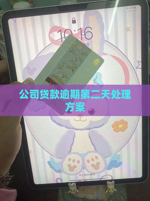 公司贷款逾期第二天处理方案