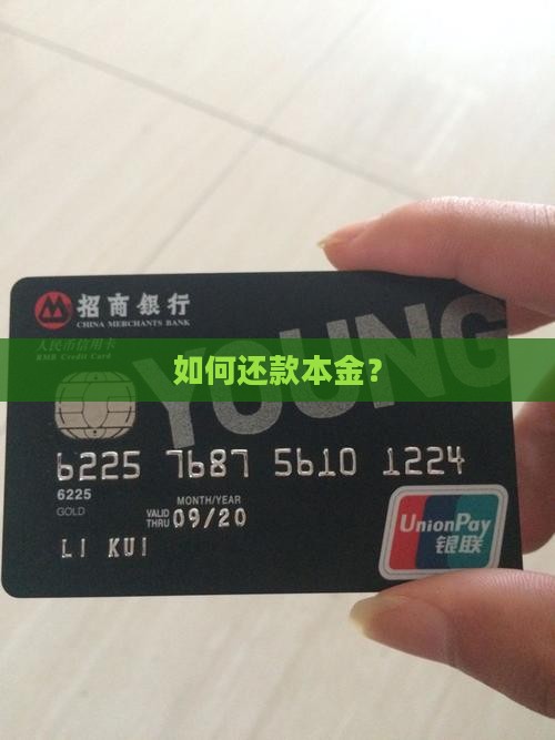 如何还款本金？