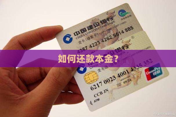 如何还款本金？