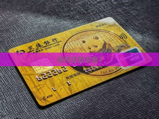 如何还款本金？