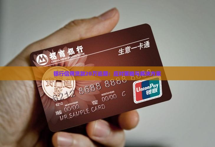 银行信用贷款20万逾期：应对策略与解决方案
