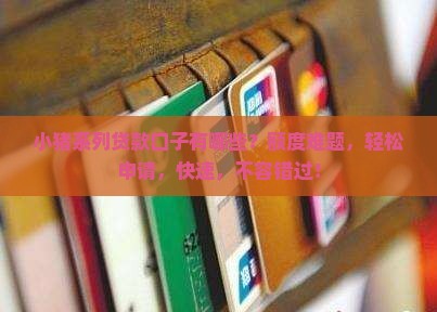 小猪系列贷款口子有哪些？额度难题，轻松申请，快速，不容错过！