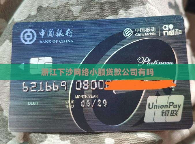 浙江下沙网络小额贷款公司有吗