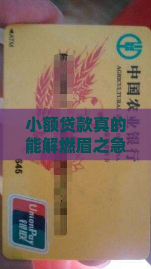 小额贷款真的能解燃眉之急吗？