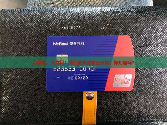 小额度，大作用！我们的贷款怎么分类，你知道吗？