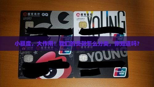 小额度，大作用！我们的贷款怎么分类，你知道吗？