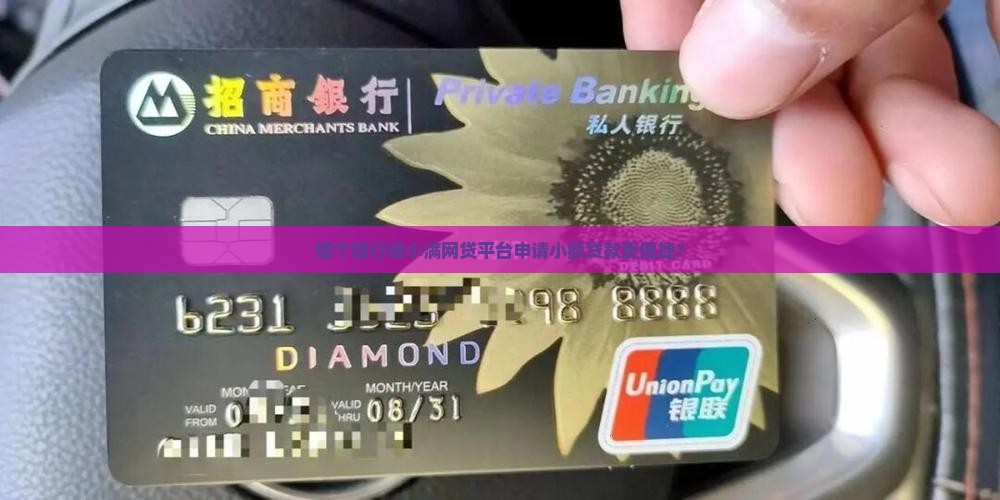 哪个银行或小满网贷平台申请小额贷款更便捷？