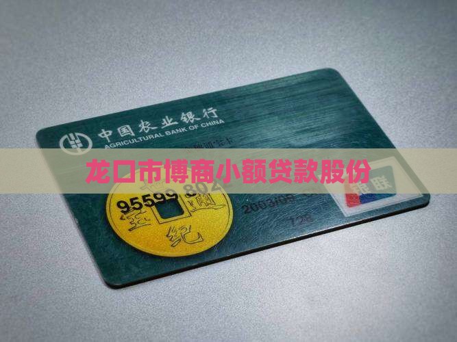 龙口市博商小额贷款股份