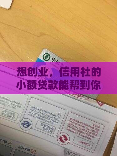 想创业，信用社的小额贷款能帮到你多少？