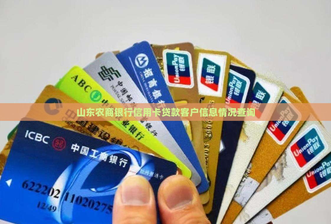 山东农商银行信用卡贷款客户信息情况查询