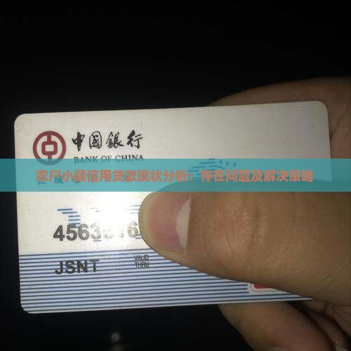 农户小额信用贷款现状分析：存在问题及解决策略