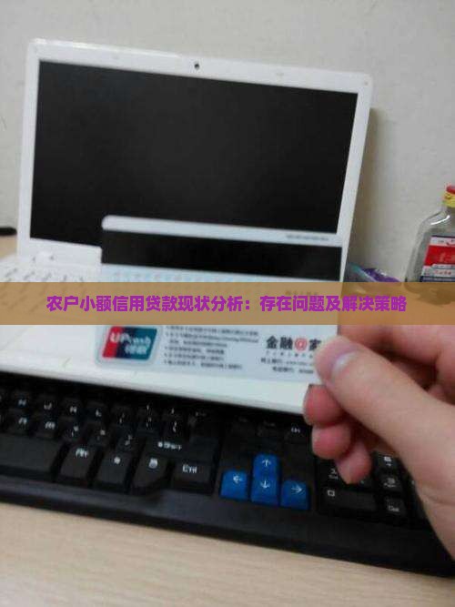 农户小额信用贷款现状分析：存在问题及解决策略