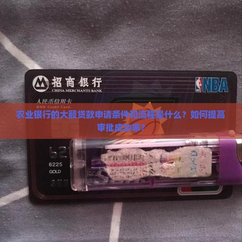 农业银行的大额贷款申请条件和流程是什么？如何提高审批成功率？