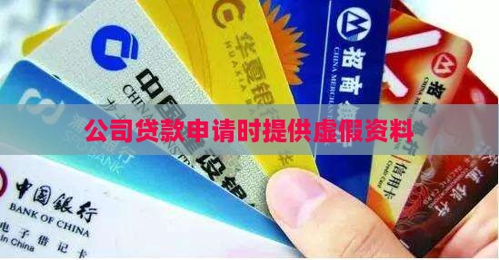 公司贷款申请时提供虚假资料