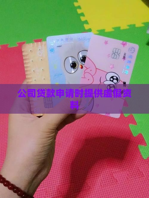 公司贷款申请时提供虚假资料