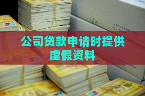 公司贷款申请时提供虚假资料