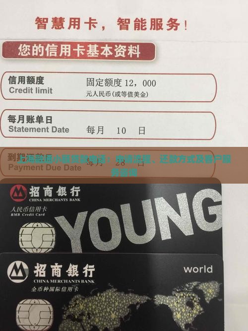 上海融通小额贷款电话：申请流程、还款方式及客户服务咨询