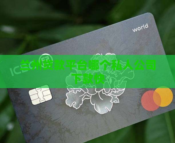兰州贷款平台哪个私人公司下款快
