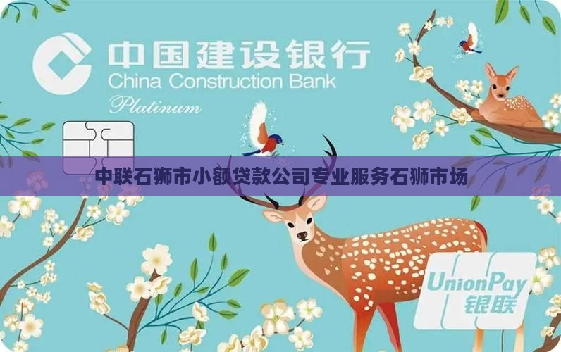 中联石狮市小额贷款公司专业服务石狮市场