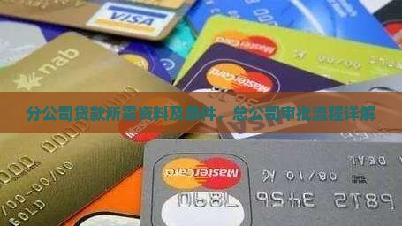 分公司贷款所需资料及条件，总公司审批流程详解