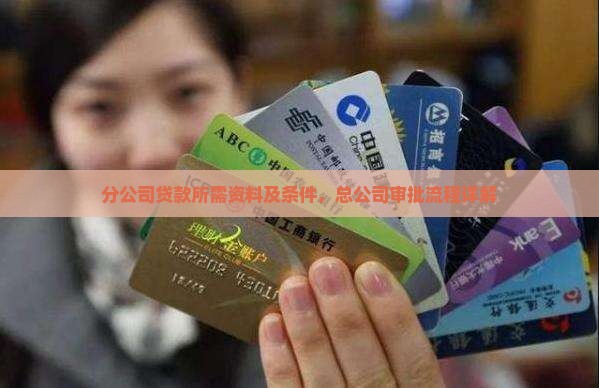 分公司贷款所需资料及条件，总公司审批流程详解