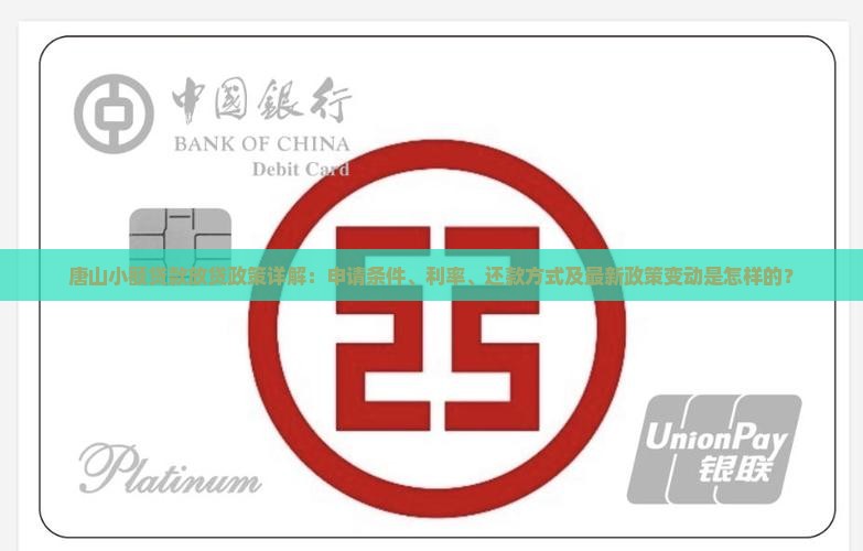 唐山小额贷款放贷政策详解：申请条件、利率、还款方式及最新政策变动是怎样的？