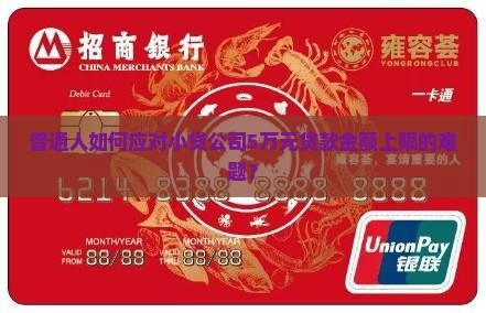 普通人如何应对小贷公司5万元贷款金额上限的难题？