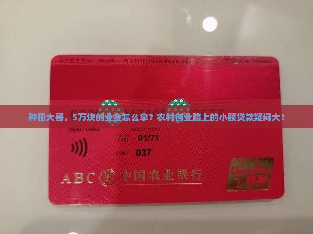 种田大哥，5万块创业金怎么拿？农村创业路上的小额贷款疑问大！