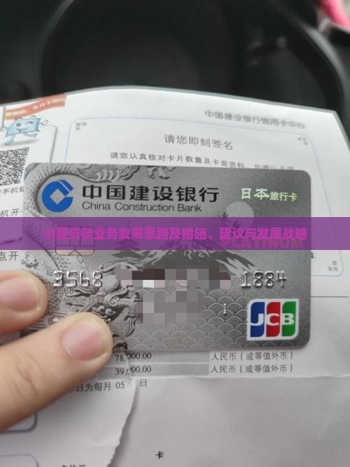 小额贷款业务发展思路及措施、建议与发展战略