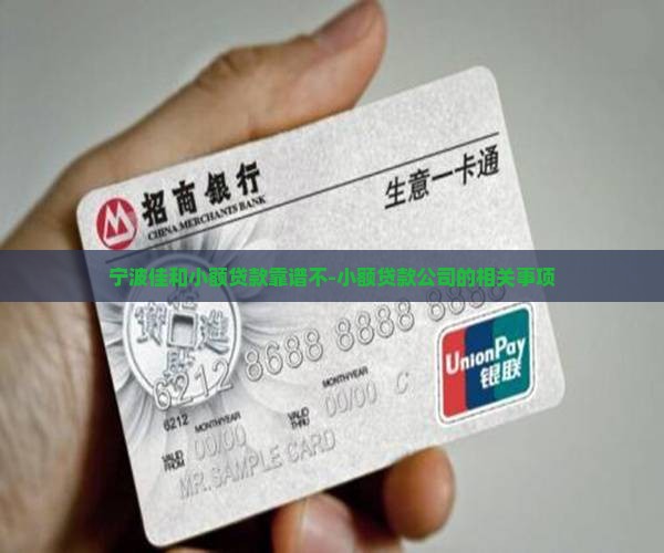 宁波佳和小额贷款靠谱不-小额贷款公司的相关事项