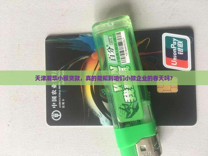 天津瀚华小额贷款，真的能帮到咱们小微企业的春天吗？