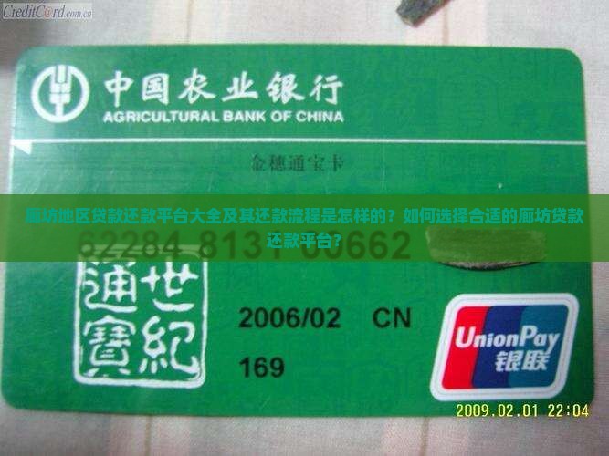 廊坊地区贷款还款平台大全及其还款流程是怎样的？如何选择合适的廊坊贷款还款平台？